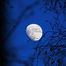 It's that time of the month again - Full moon on St Valentine's Day