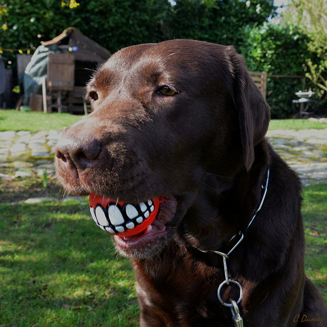 Un beau sourire pour la photo !