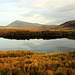 Cam Loch & Eilean na Gartaig