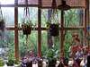 Una ventana al bosque