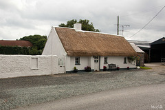 Campagne irlandaise