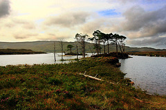 Loch Assynt - Rubha an Doire Chuilinn