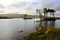 Loch Assynt - Rubha an Doire Chuilinn 1