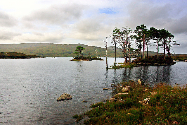 Loch Assynt - Rubha an Doire Chuilinn 1