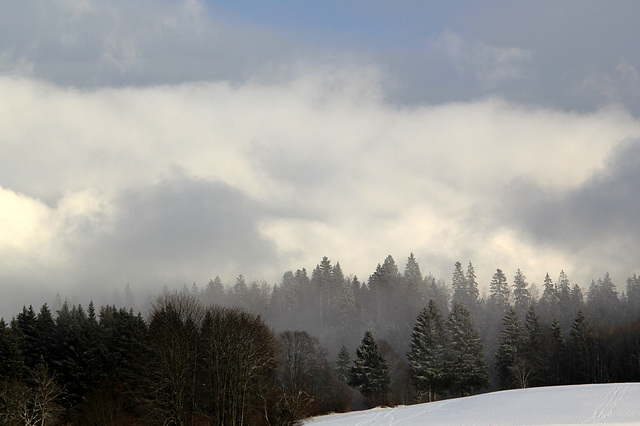 Entre deux flocons