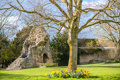 Glastonbury Abbey - 20140322