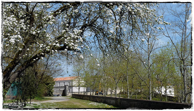 ROCHEFORT (Charente)