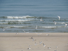 Strand bei Swinemünde