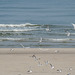 Strand bei Swinemünde