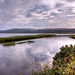 Dornoch Firth