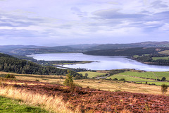 Dornoch Firth 2