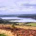 Dornoch Firth 2