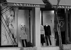 Window Display
