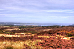 Dornoch Firth 4