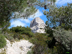 Un petit coin de ciel bleu . . . .