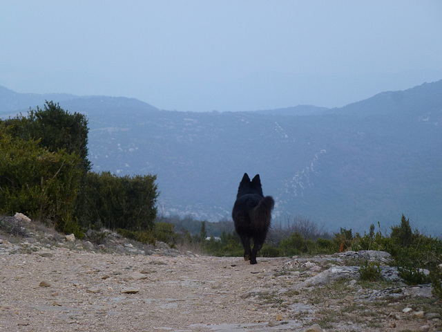 20140311 Fee Mt Baudille (2) al