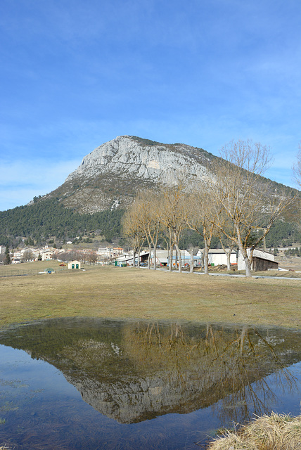 reflet à la fonte des neiges, Caille