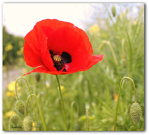 pour oublier la pluie !