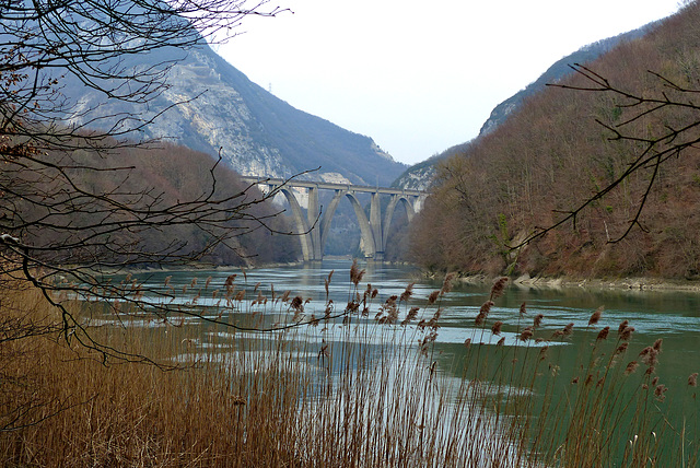 P1090076- Le Rhône et le pont de chemin de fer - Rando Fort l'Ecluse:Léaz  11 mars 2014