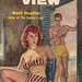 Basil Heatter - The Dim View