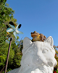 A Toad, a Cat, and a Whirligig