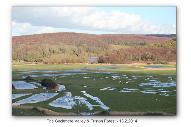 Cuckmere Valley & Friston Forest - 13.2.2014