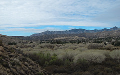 Morongo Canyon Preserve (4776)