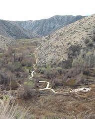 Morongo Canyon Preserve (4780)