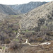 Morongo Canyon Preserve (4780)