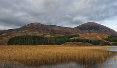 Reed beds and mountains