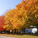 Autumn Colours 2012