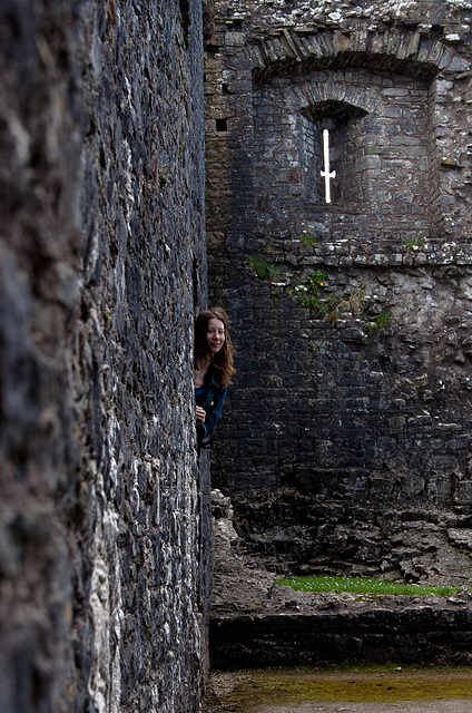 Castle window