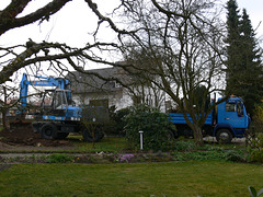 action im Garten