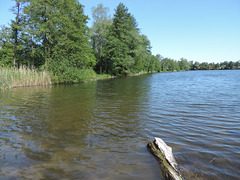 Kiessee Rangsdorf -Bergstraße