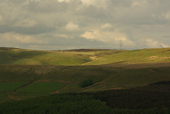IMGP9214