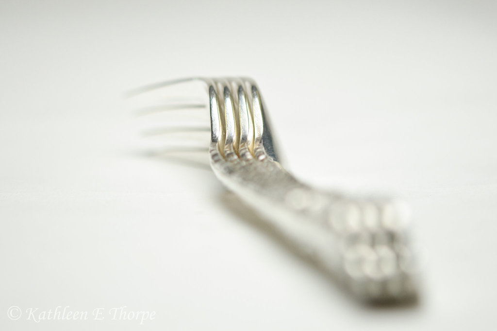 Fork Still Life High Key 040114-002