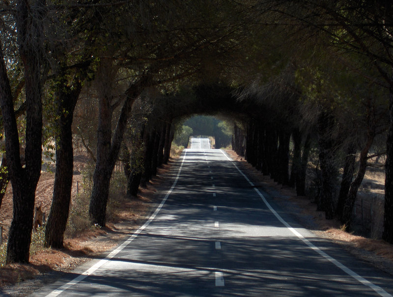 Ourique to Castro Verde