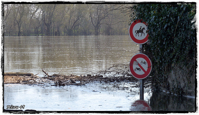 SAINTE GEMMES sur LOIRE