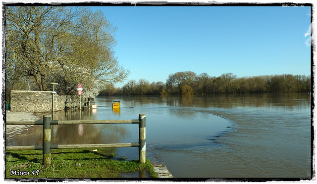 SAINTE GEMMES sur LOIRE