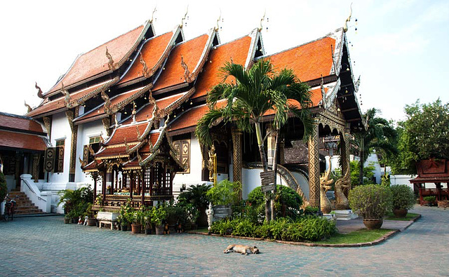 Temple in Chiang Mai