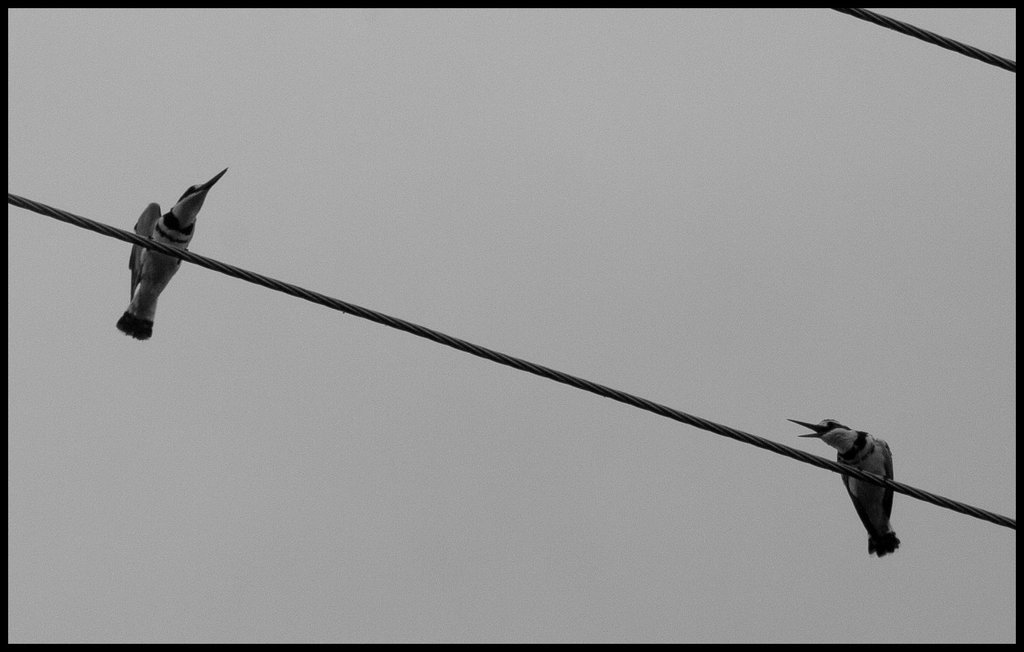 Message on the wire