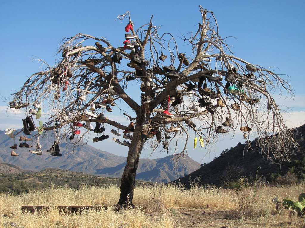 Shoe Tree