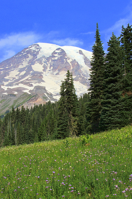 Mount Rainier