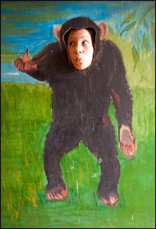 So you say you want an evolution?
