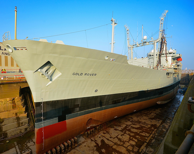 RFA GOLD ROVER