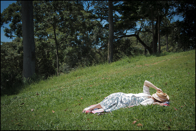 Lazing on a sunny afternoon