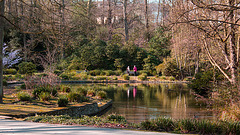 20140320 1085VRAw [D-E] Spiegelung, Schloss Borbeck, Essen