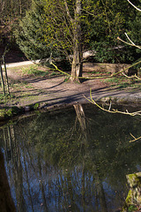 20140320 1083VRAw [D-E] Spiegelung, Schloss Borbeck, Essen