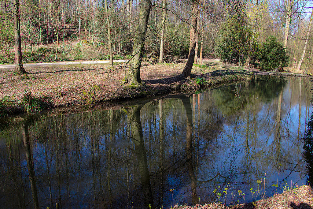 20140320 1081VRAw [D-E] Spiegelung, Schloss Borbeck, Essen