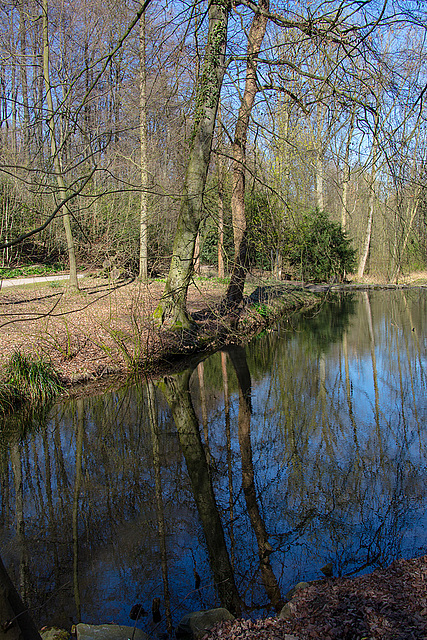 20140320 1080VRAw [D-E] Spiegelung, Schloss Borbeck, Essen